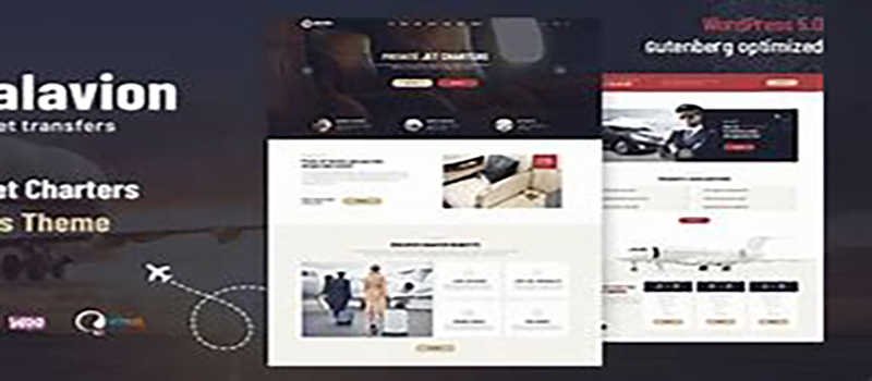 alavion-private-jet-charters-wordpress-theme image.jpeg