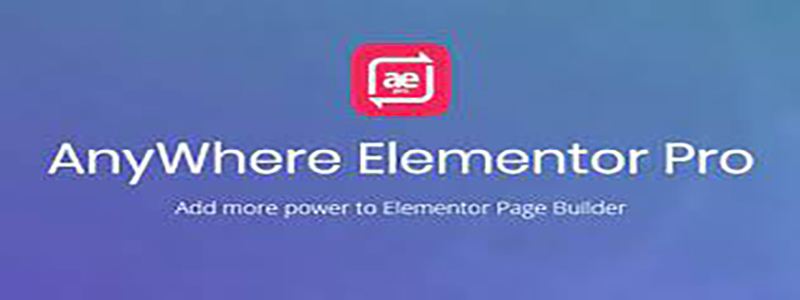 AnyWhere Elementor Pro.jpg