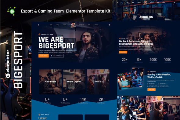 Bigesport-Cover-Images.jpg