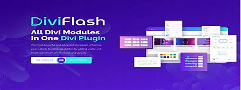 divi flash.jpeg