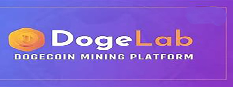 dogelab.jpg