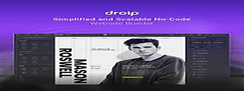 Droip--No-Code-website-builder-for-WordPress.png
