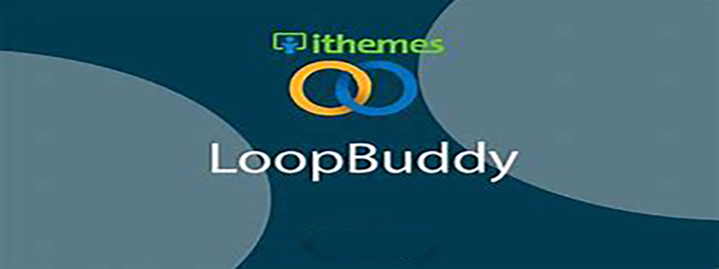loopbuddy.jpg
