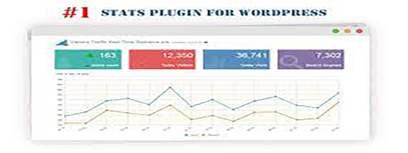 Visitor Traffic Real Time Statistics.jpg