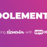 CoDesigner Pro (Formerly Woolementor)