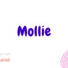 Mollie Payment Module for Smartpanel