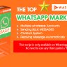 Waziper - Whatsapp Marketing Tool - Stackposts
