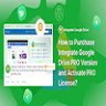 Integrate Google Drive PRO