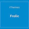 iThemes DisplayBuddy Frolic