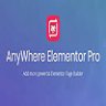 AnyWhere Elementor Pro