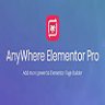 AnyWhere Elementor Pro